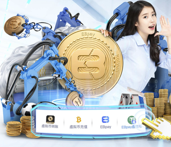 律师张冰：戴琳假借王大雷“签字费”的聊天记录，向球迷借钱